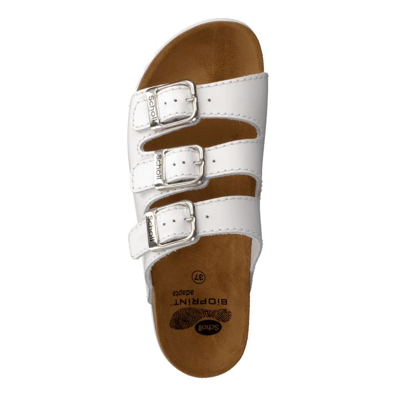 Rio WG AD White