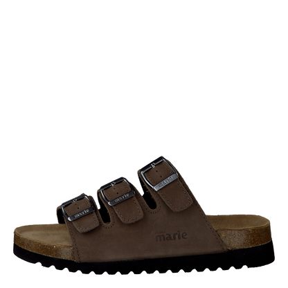 Shell Brown